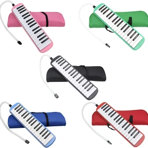 Mélodica Maestro : L'Harmonie à Portée de Main