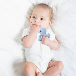 Anneau Dentition Bebe | BabyDuck™